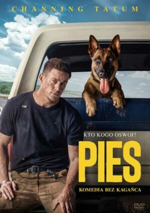 Pies
